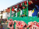 Fasent Dienstag Umz&uuml;ge 2011 Bild Nr.29