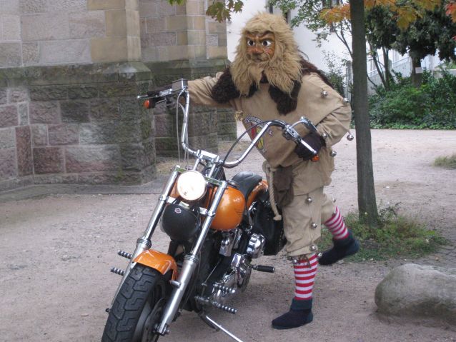 R&auml;teschebube bei Umz&uuml;ge Bild Nr.17